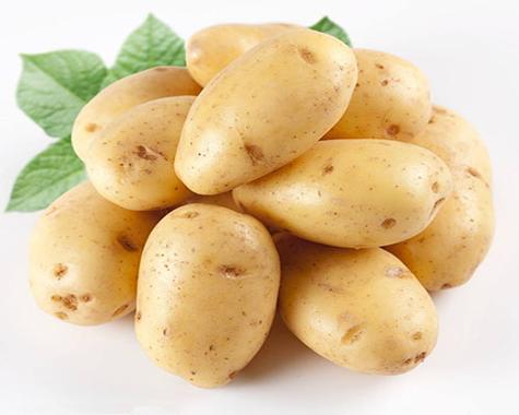 potato旧版本1.0.0.6图标