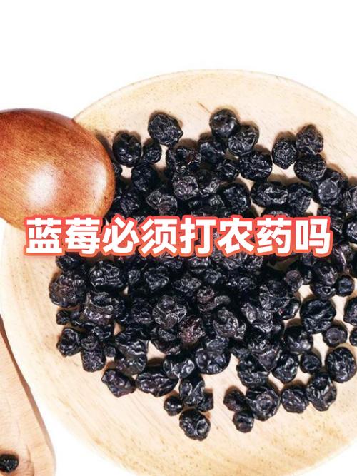 蓝莓为何要尽量少吃图标