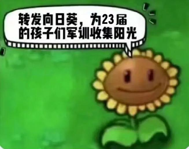 转发这个向日葵