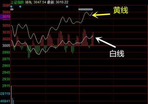 黄线和白线有什么区别图标