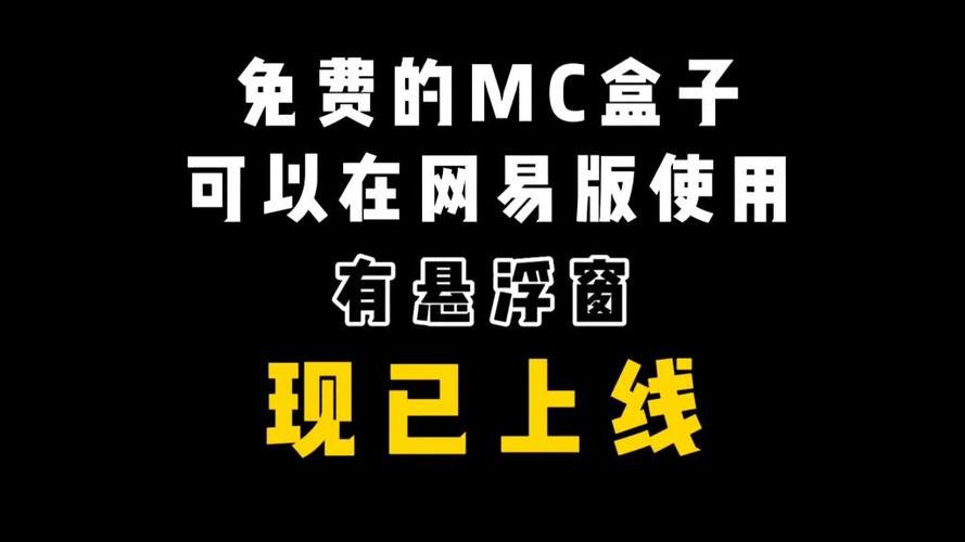 多玩我的世界盒子悬浮窗游戏截图
