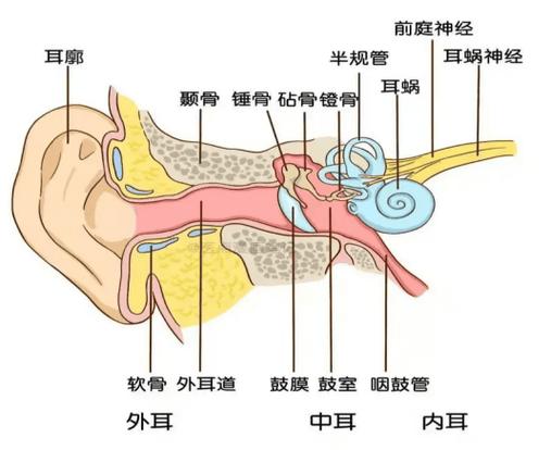 耳朵太小了戴不稳耳机怎么办