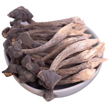 干鸡枞菌的禁忌游戏截图