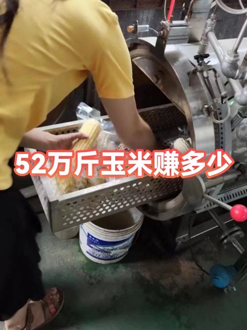 卖玉米一天可以赚多少钱游戏截图
