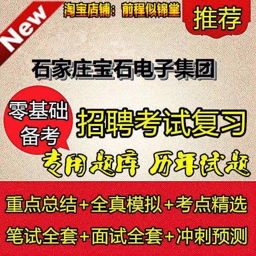 石家庄市宝石电子集团缩略图