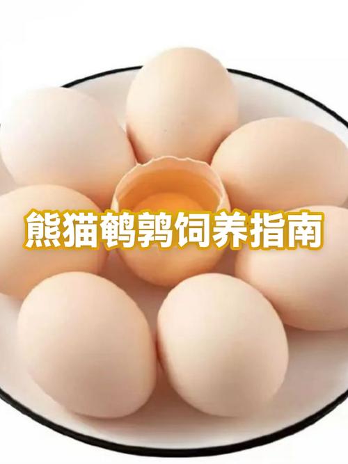 我的世界驯服熊猫的注意事项图标