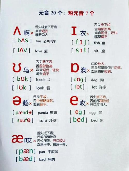 英语音标怎么读视频教程缩略图