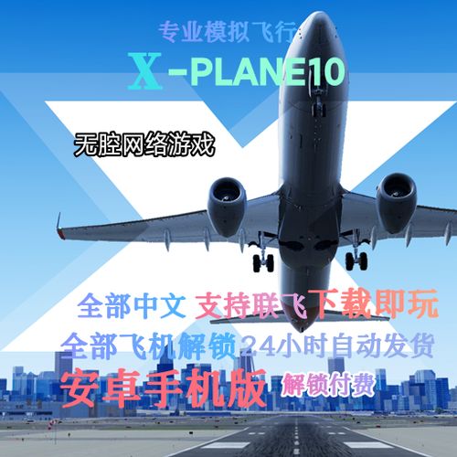 专业模拟飞行10怎么调中文缩略图
