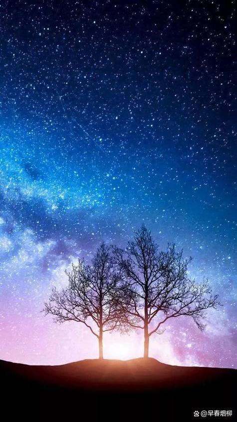 看星星是什么意思游戏截图