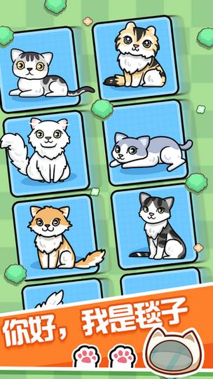 养猫达人红包版缩略图