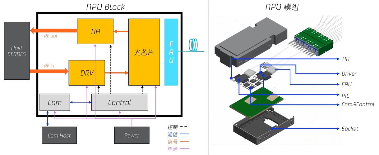 硫光稳定框架安卓版