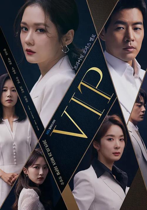 vip分集剧情介绍图标