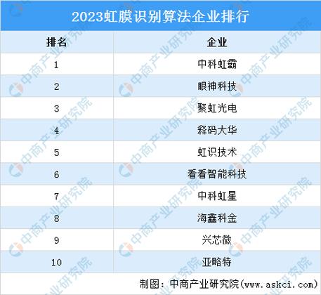 国内算法公司排名图标