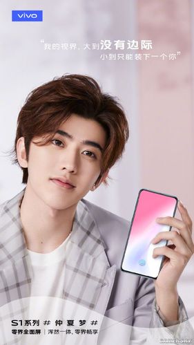 蔡徐坤代言vivo广告图标