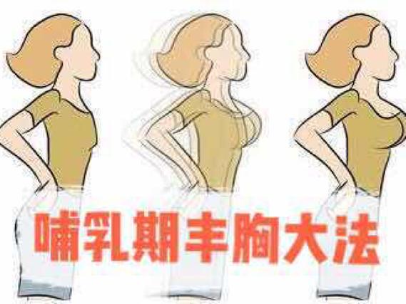 生理期最佳丰胸时间
