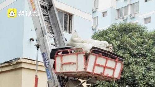 找搬运工人在哪个平台图标