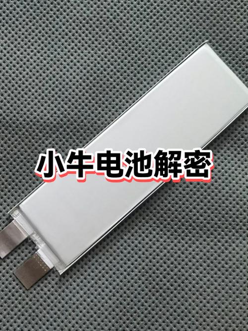 小牛如何防止电池被偷游戏截图
