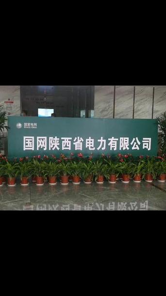 陕西电力国网缴费缩略图