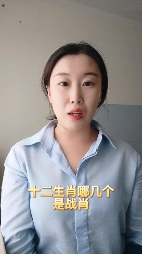 十二生肖战斗肖缩略图