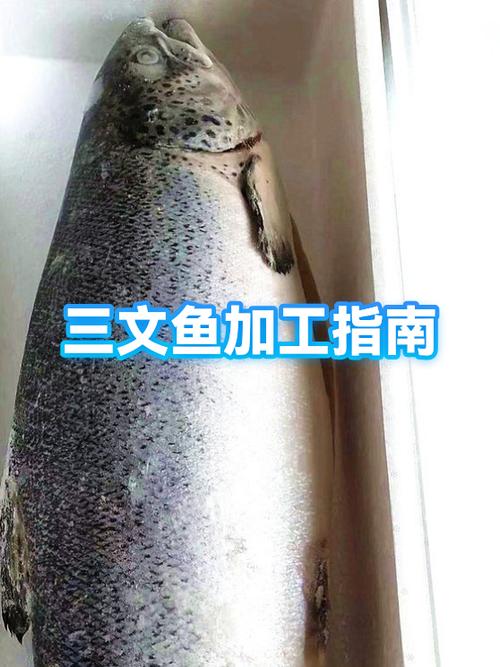 三文鱼冰冻后怎么解冻图标