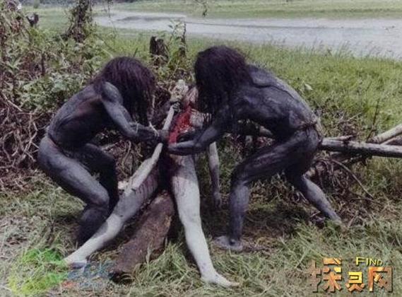 911食人族2缩略图