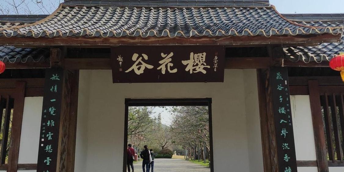 中国十大赏樱花景点