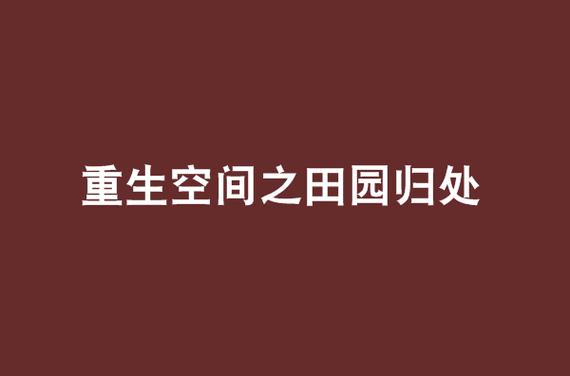 重生空间之田园归处缩略图