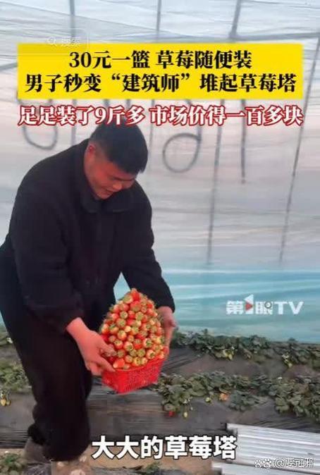 去草莓园摘草莓要钱吗缩略图