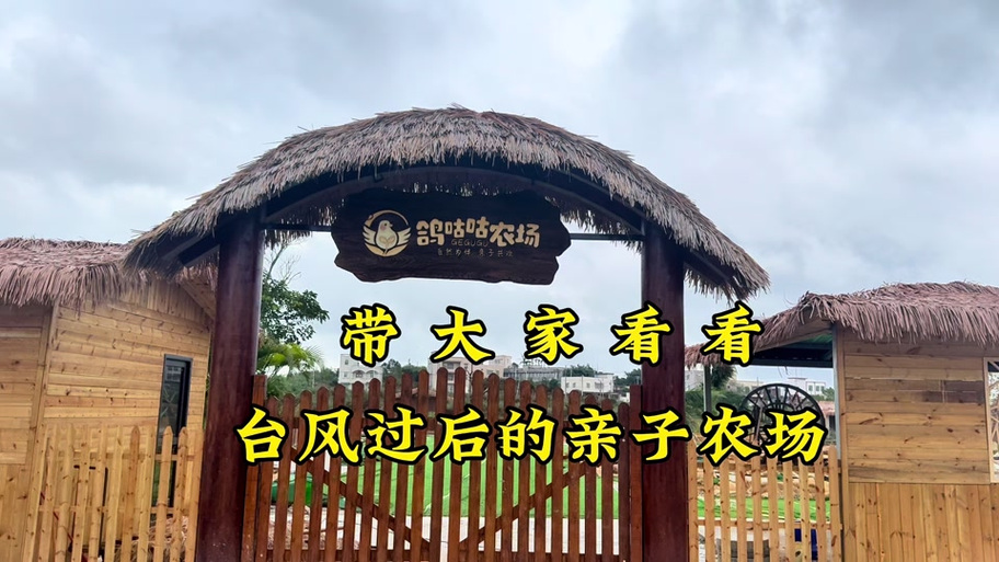 鸽咕咕农场门票价格表缩略图
