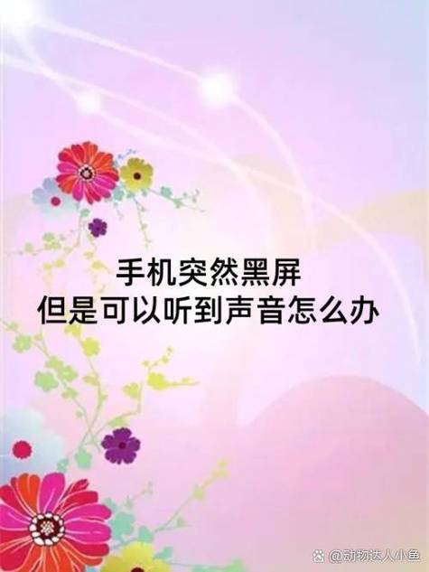 为什么vivo手机突然没有声音缩略图