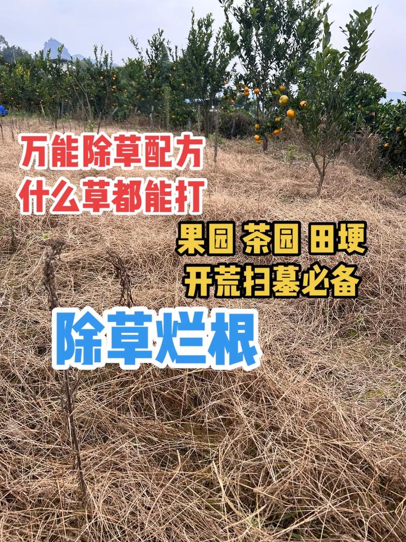 不用除草剂如何除杂草缩略图