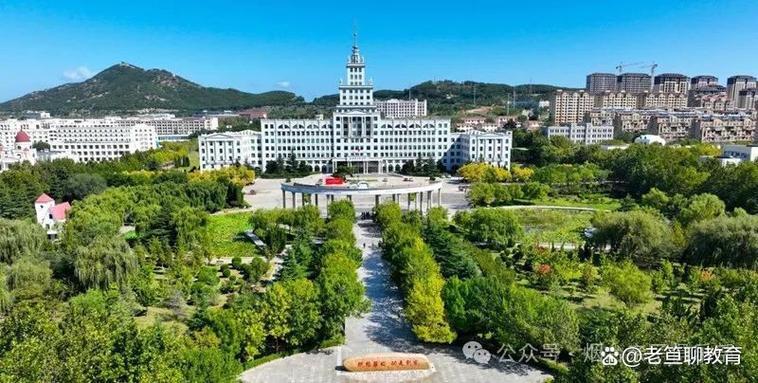 山东大学985有几所图标