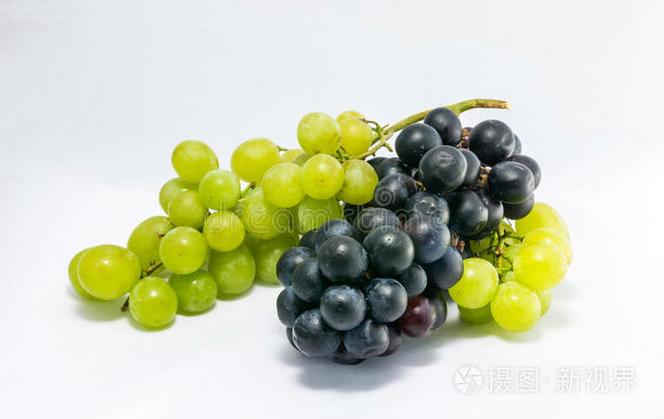 白葡萄和红葡萄的品种游戏截图