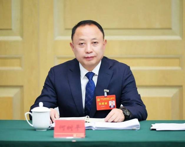 何树平个人简历