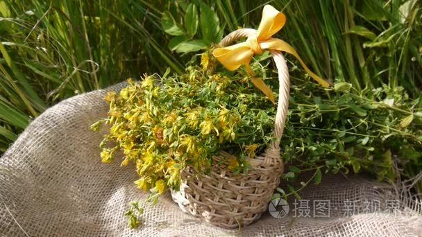 麦芽短视频缩略图