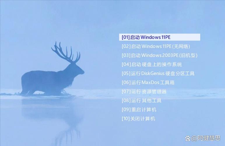 FirPE-V.9.1.img镜像下载缩略图