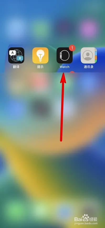 applewatch黑屏没反应图标