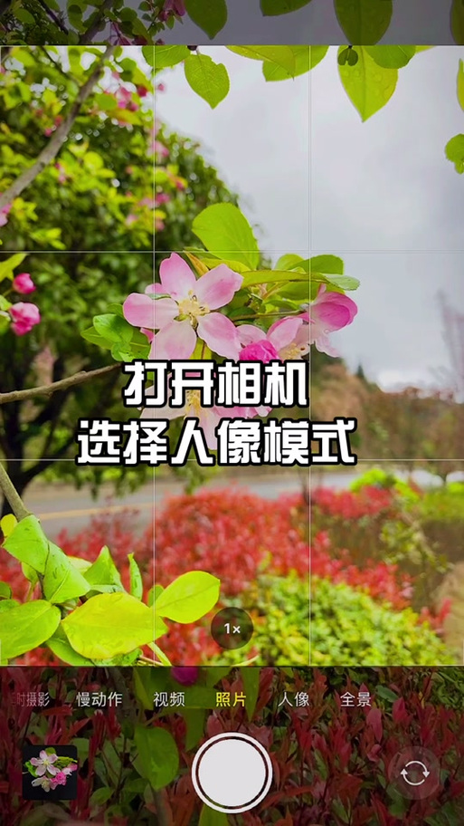 华为mate30剧场光怎么拍照
