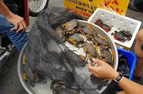 新手摆摊卖螃蟹图标
