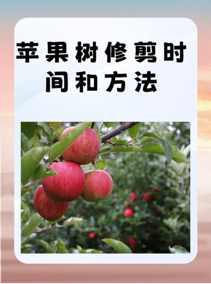 苹果home键坏了修多少钱图标