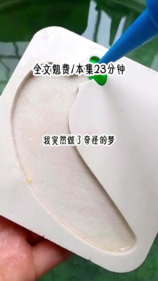 有楚风楚芸的小说缩略图