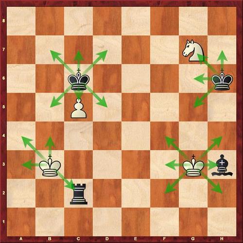 国际象棋国王走法缩略图