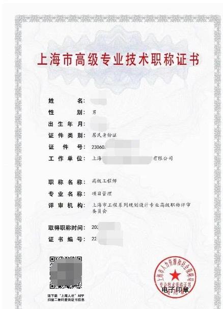 工程师职称级别游戏截图