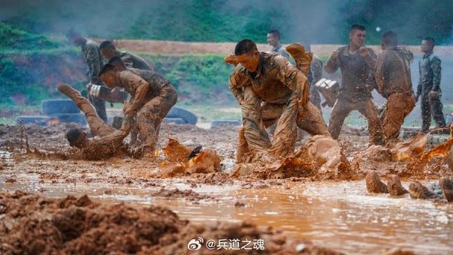 国防勇士徽章是什么图标