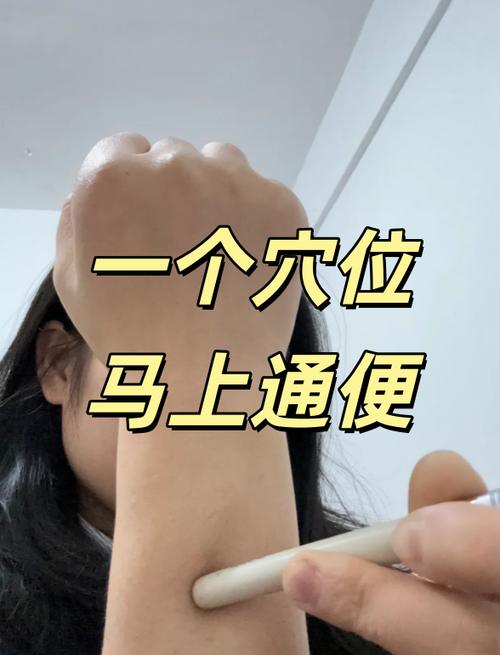 天枢下载安装最新版
