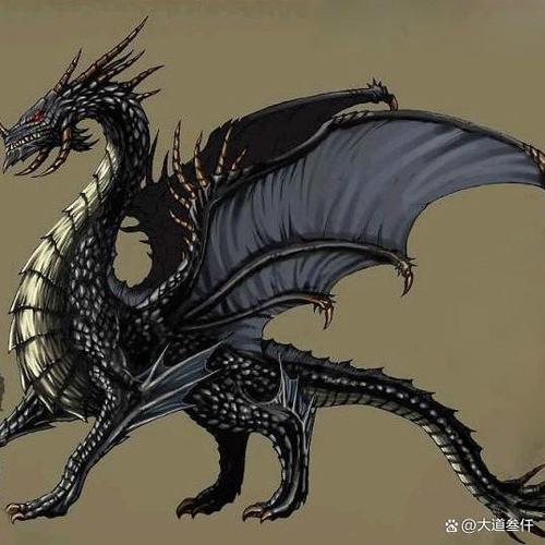 魔龙天下
