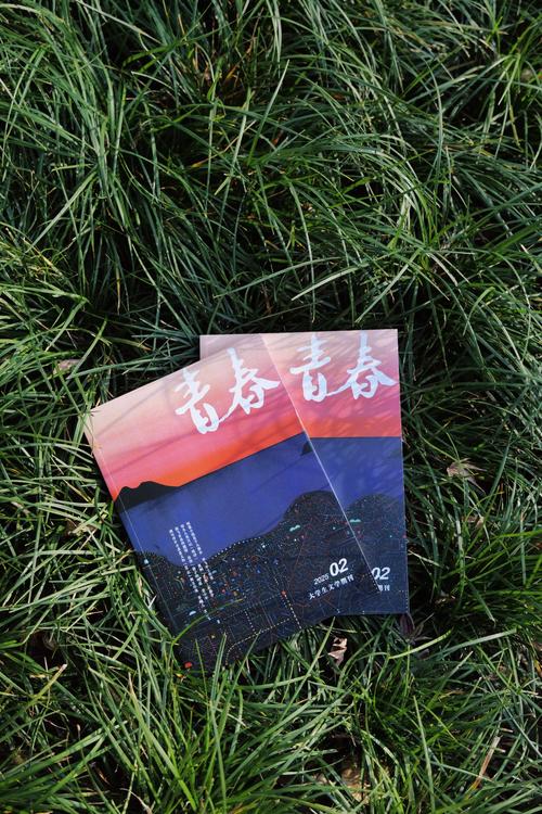 类似辉阳男子高中的文