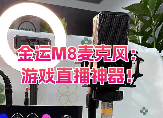 电脑玩游戏用不了麦克风
