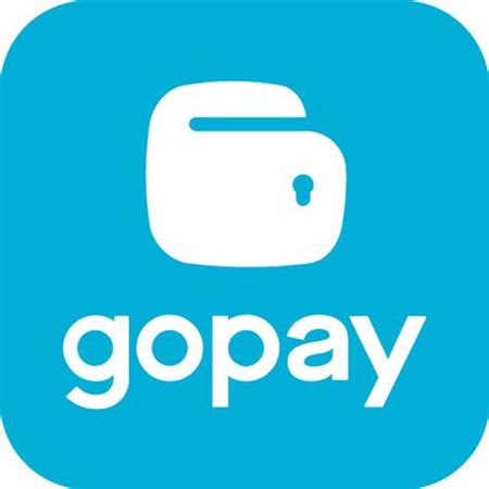 gogo支付
