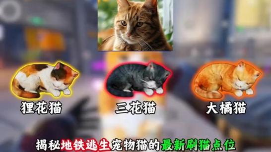 猫狗地铁逃生免广告内置菜单